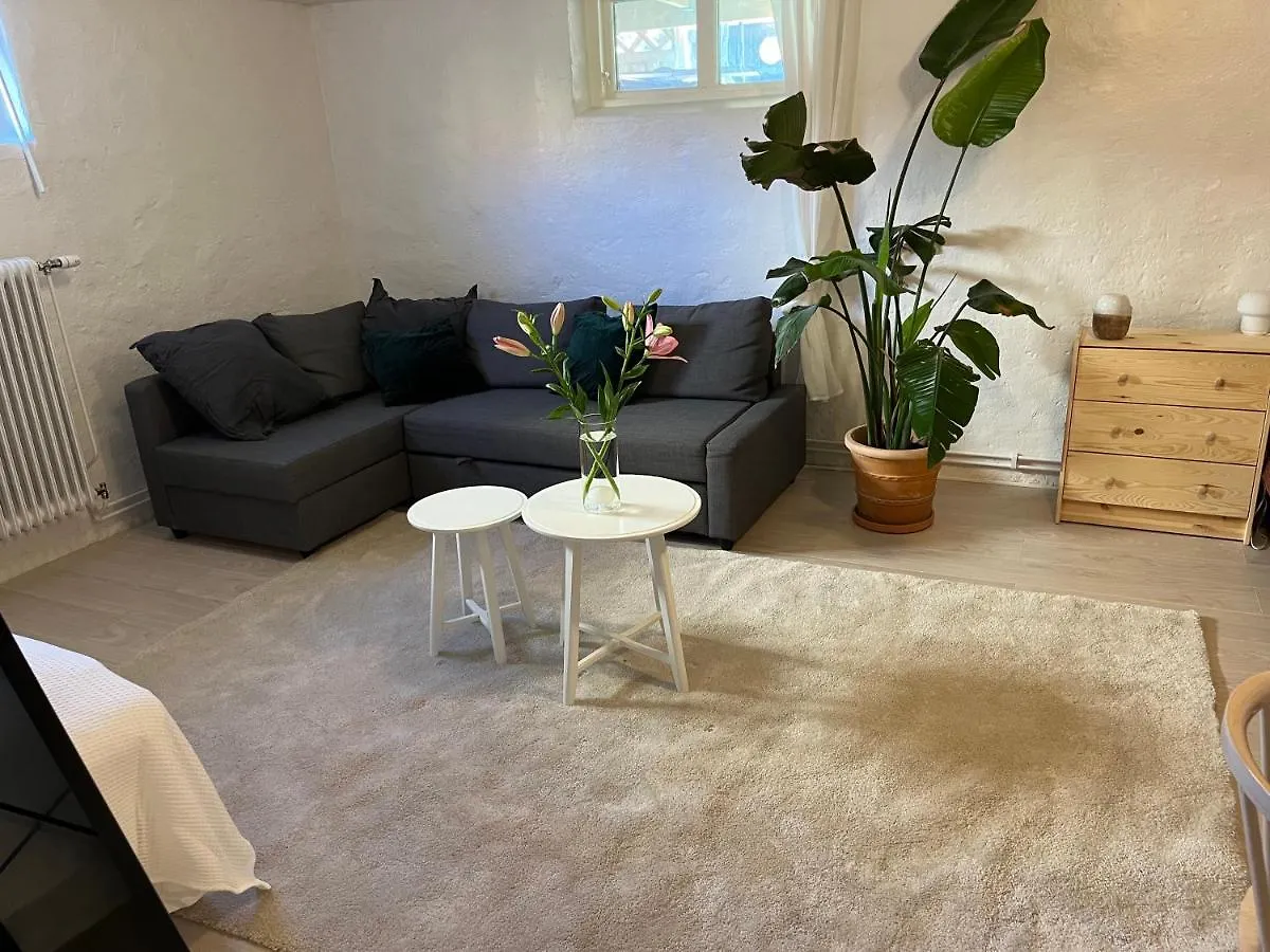 Central Living With Many Beds And Private Garden! Gothenburg